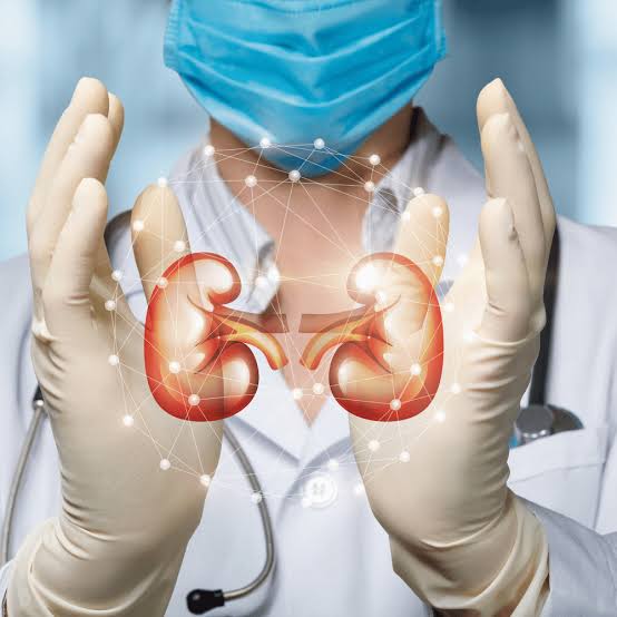Free Kidney Health Screening Available!